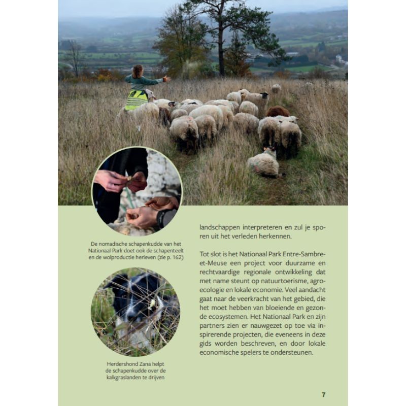 26 wandelingen tussen de Ardennen, de Fagne en de Calestienne