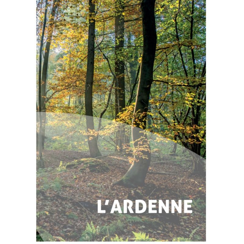 26 balades entre les Ardennes, la Fagne et la Calestienne