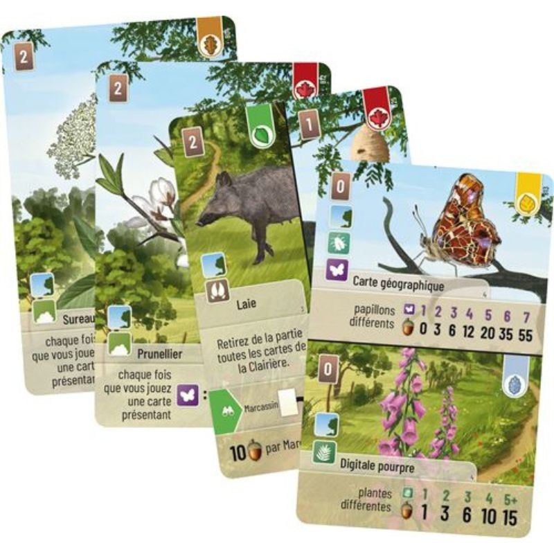Forêt Mixte - Extension Lisière de Forêt - Jeu de stratégie