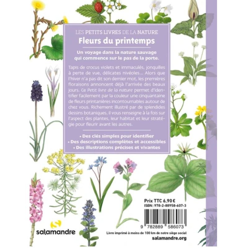 Fleurs du printemps - Les petits livres de la nature