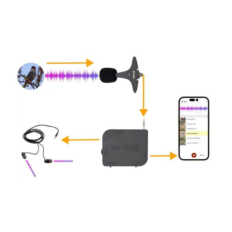 Pack BIRDMIC ONE – Microphone parabolique avec interface audio