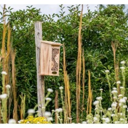 Hôtel à insectes Marchena - Bois d'Epicéa