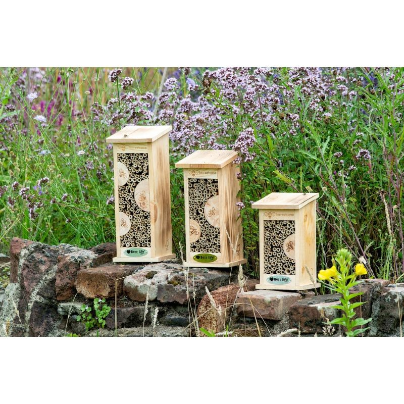 Hôtel à insectes Marchena - Bois d'Epicéa