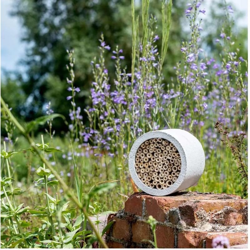 Hôtel à insectes Isabela - Béton de bois