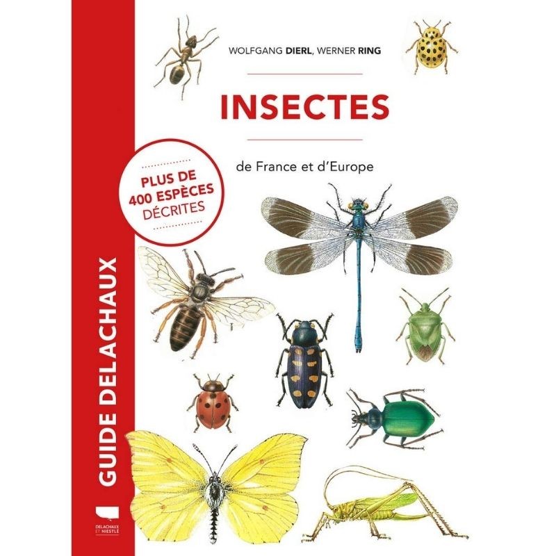 Insectes de France et d'Europe - Plus de 400 espèces décrites