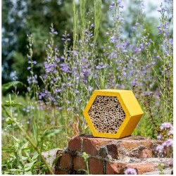 Hôtel à insectes Matias - Béton de bois