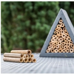 Tubes de recharge 90mm pour les hôtels à insectes Matias, Isabela