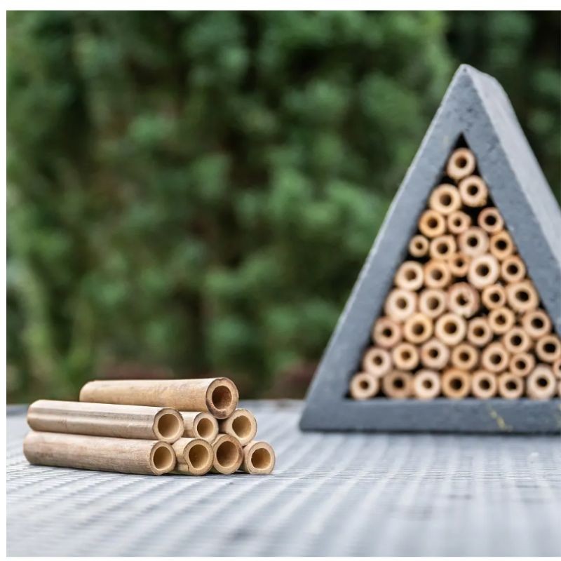 Tubes de recharge 90mm pour les hôtels à insectes Matias, Isabela