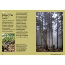 Mystérieuses vieilles forêts