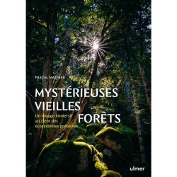 Mystérieuses vieilles forêts