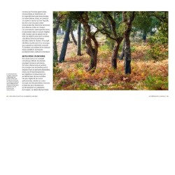 Mon jardin s'adapte au changement climatique - Anticiper, repenser et aménager Mon jardin s'adapte au changement climatique - Anticiper, repenser et aménager