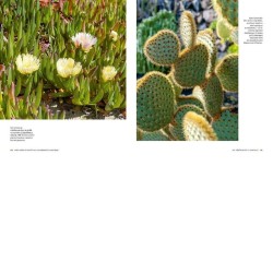 Mon jardin s'adapte au changement climatique - Anticiper, repenser et aménager Mon jardin s'adapte au changement climatique - Anticiper, repenser et aménager