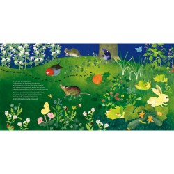 Une nuit - La vie nocturne des animaux