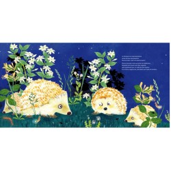 Une nuit - La vie nocturne des animaux