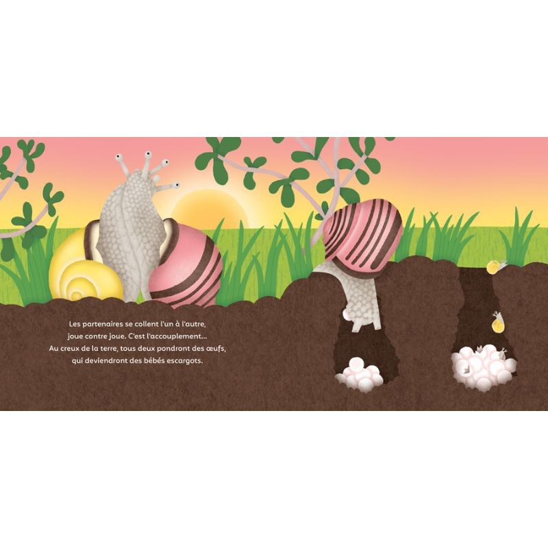 Les P'tits Escargots - Il pleut, il mouille, il sort sa tête !