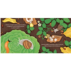 Les P'tits Escargots - Il pleut, il mouille, il sort sa tête !