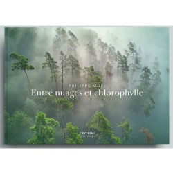 Entre nuages et chlorophylle