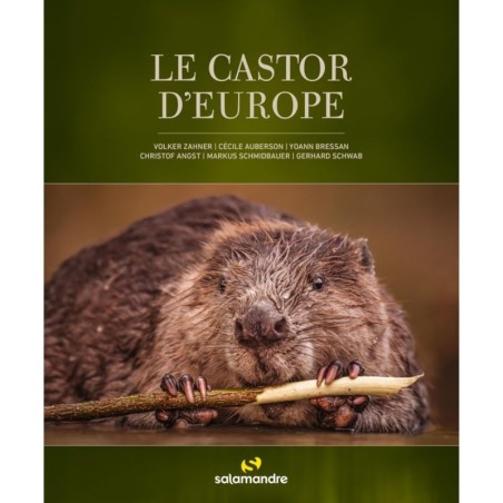 Le castor d'Europe