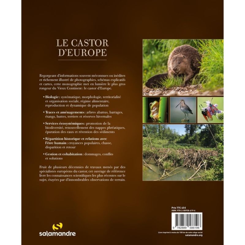 Le castor d'Europe