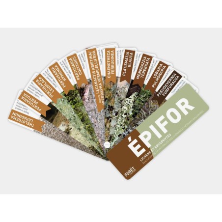 Éventail Épifor Lichens et bryophytes - Évaluation de la naturalité des chênaies et hêtraies wallonnes