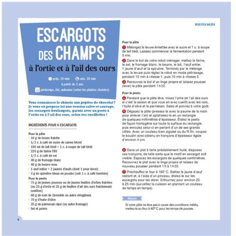 Cueillir et cuisiner les plantes sauvages en famille