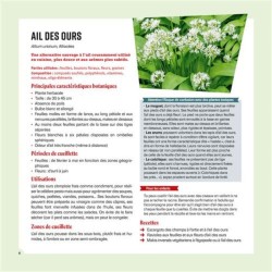 Cueillir et cuisiner les plantes sauvages en famille