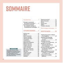 Cueillir et cuisiner les plantes sauvages en famille