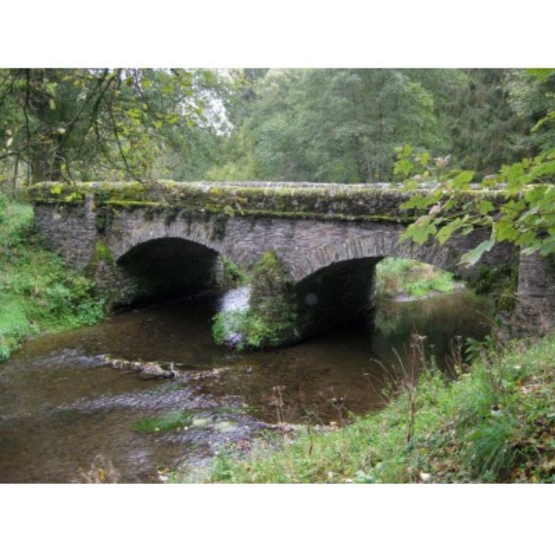 GR 129 - La Belgique en diagonale Dinant – Arlon - Tome 2