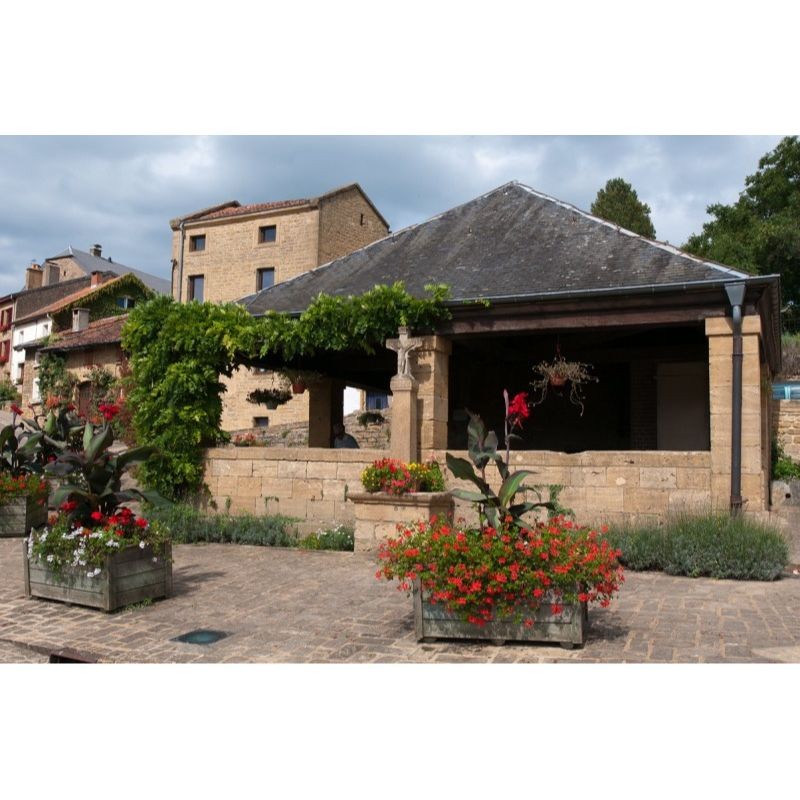 GR 129 - La Belgique en diagonale Dinant – Arlon - Tome 2
