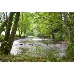 GR 129 - La Belgique en diagonale Dinant – Arlon - Tome 2
