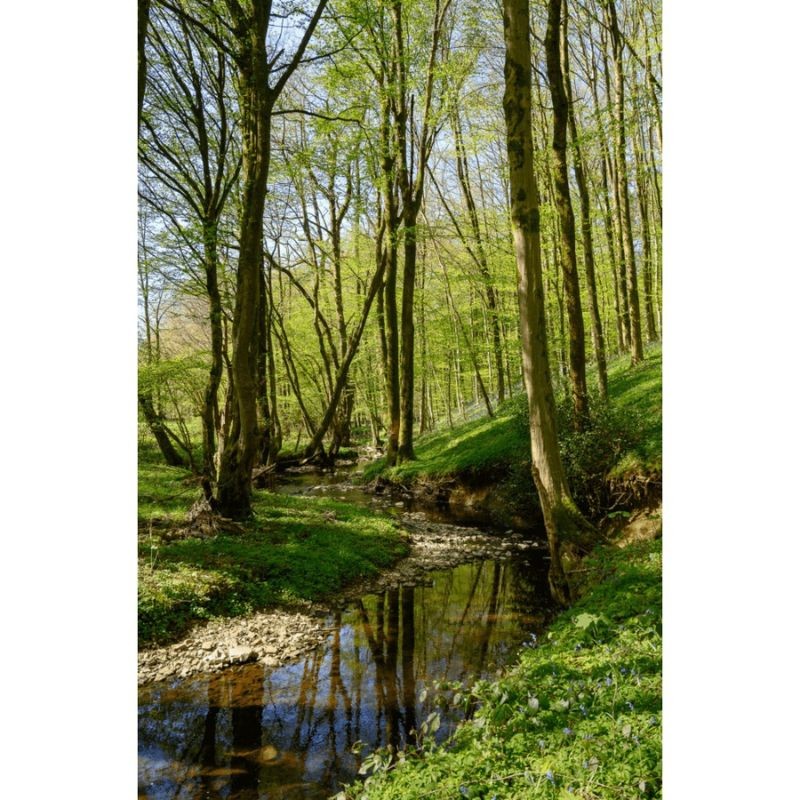 GRP 124 - Tour du Parc national de l’Entre-Sambre-et-Meuse