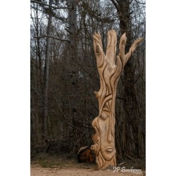 GRP 124 - Tour du Parc national de l’Entre-Sambre-et-Meuse