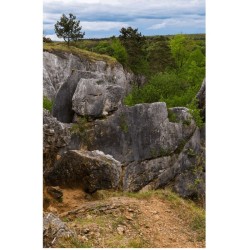 GRP 124 - Tour du Parc national de l’Entre-Sambre-et-Meuse