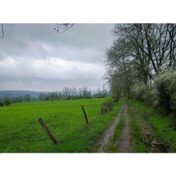 GRP 575 - Tour du Condroz