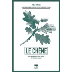 Le Chêne – Un arbre majestueux et oraculaire