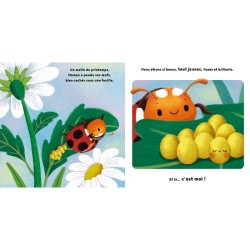 La petite coccinelle