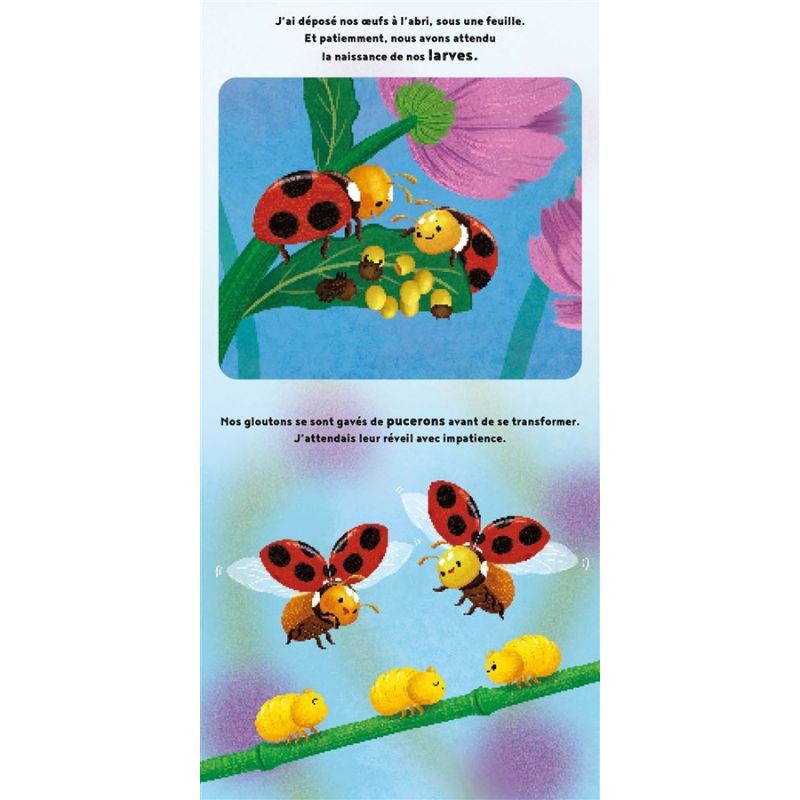 La petite coccinelle