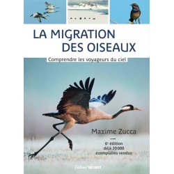 La migration des oiseaux - Comprendre les voyageurs du ciel