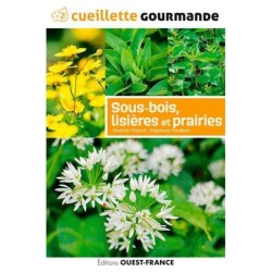 Cueillette gourmande des sous-bois, lisières et prairies