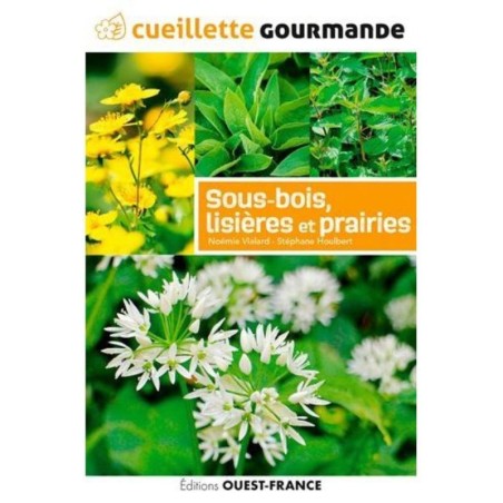 Cueillette gourmande des sous-bois, lisières et prairies