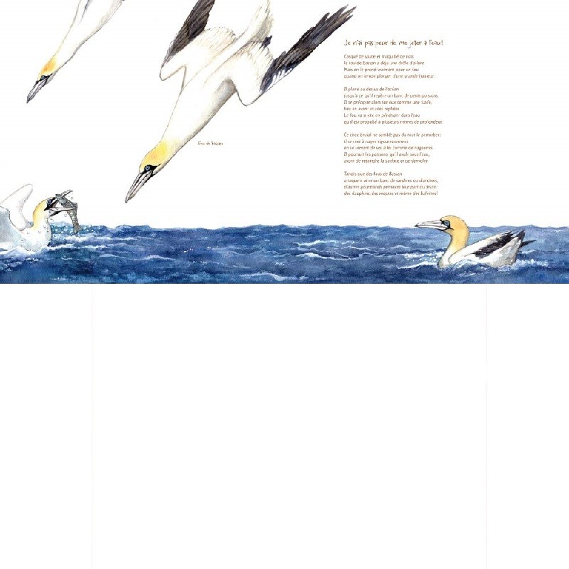 Les oiseaux - 21 petites histoires naturelles