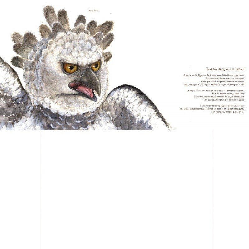 Les oiseaux - 21 petites histoires naturelles