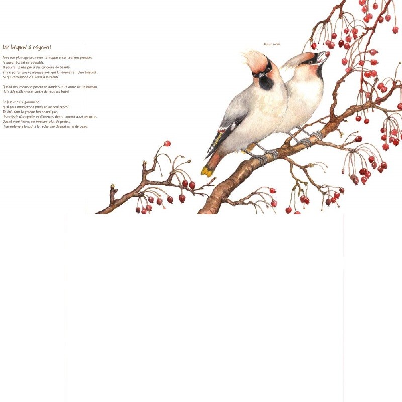 Les oiseaux - 21 petites histoires naturelles