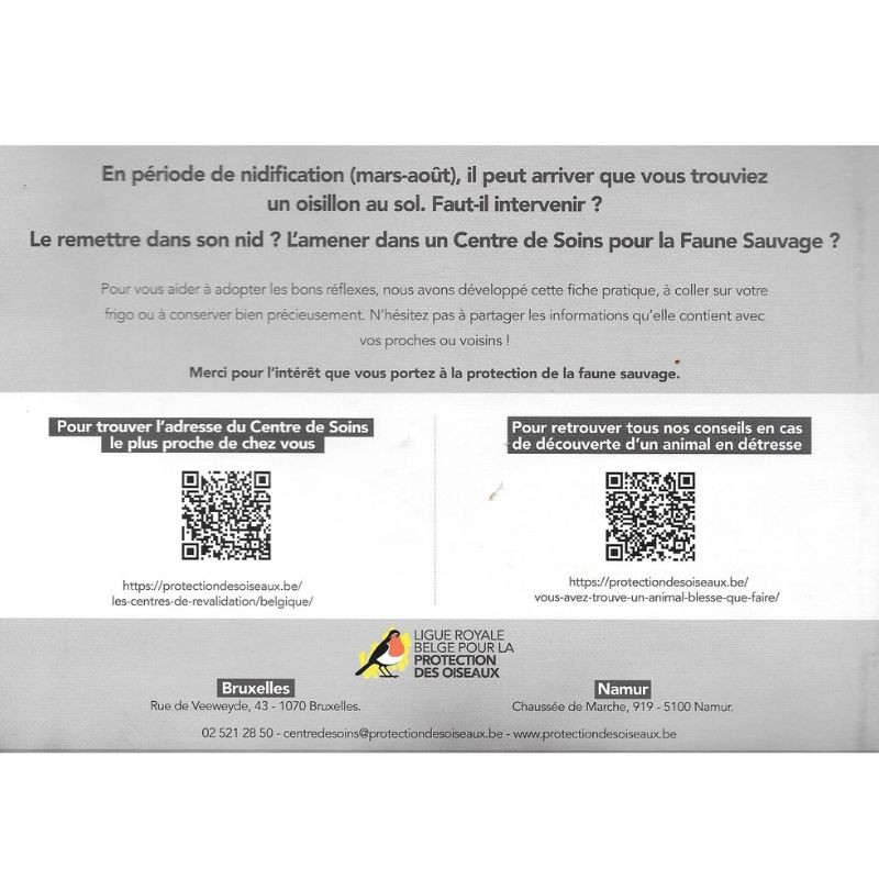 Carte didactique "Vous avez trouvé un oisillon au sol : que faire?"