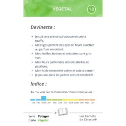 Boîte aux Devinettes "Une année dans le Potager"