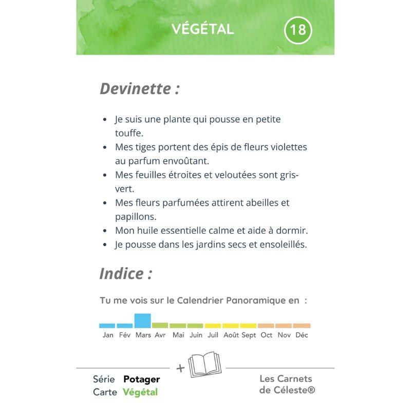 Boîte aux Devinettes "Une année dans le Potager"