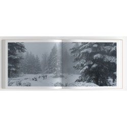 Le Chant des forêts