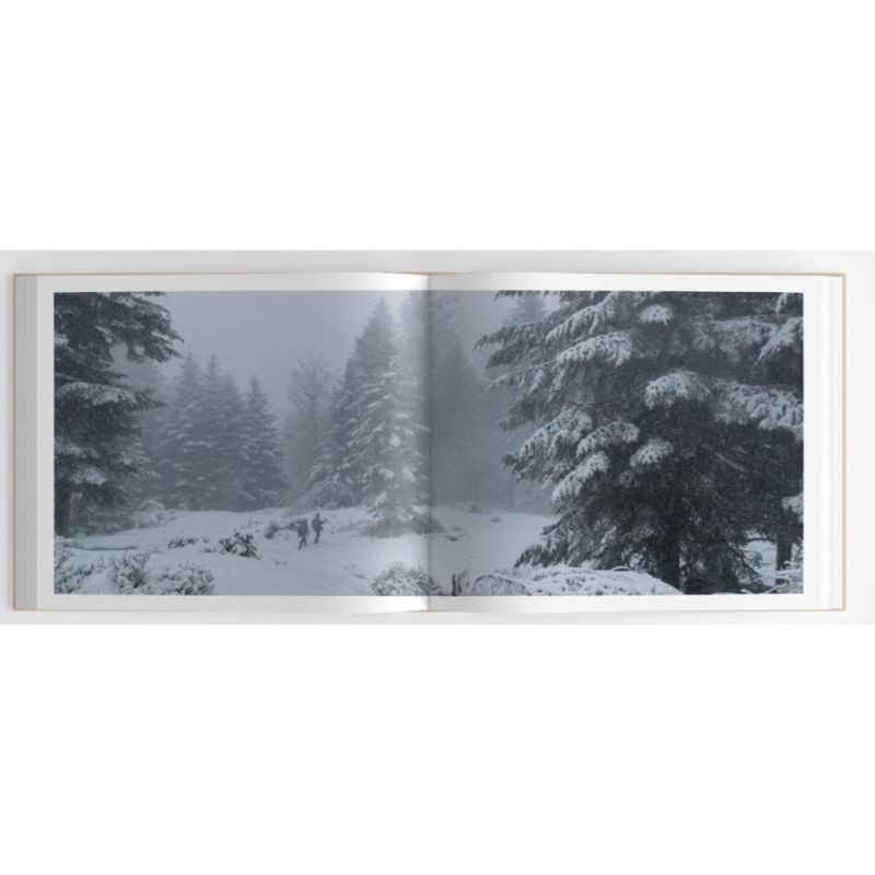 Le Chant des forêts