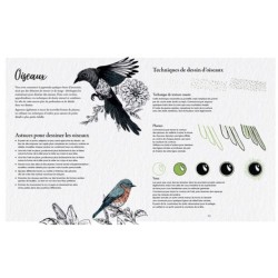 Les Souris du BDessiner la flore & la faune - 20 superbes tutoriels en pas à pasuisson-aux-Mûres, les albums de coloriage - Colo