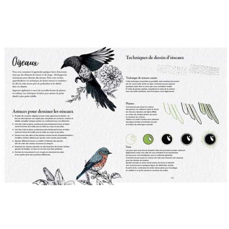 Les Souris du BDessiner la flore & la faune - 20 superbes tutoriels en pas à pasuisson-aux-Mûres, les albums de coloriage - Colo